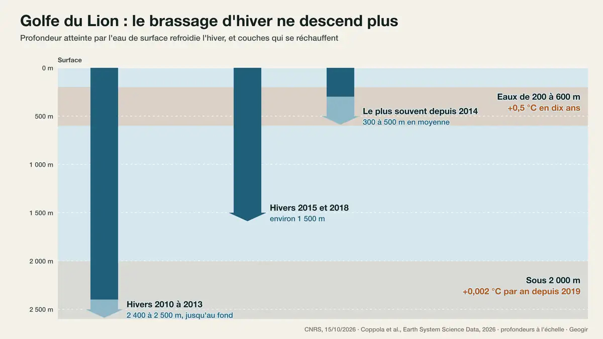 Méditerranée : la chaleur descend vers le fond, le brassage d'hiver s'essouffle